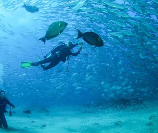 Diving in Los Cabos