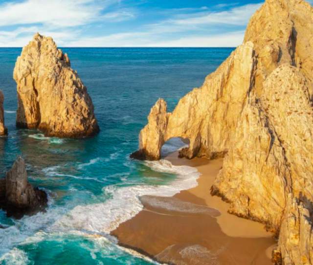 Discover a once in a lifetime culinary experience... From the Sea of Cortez to your table.