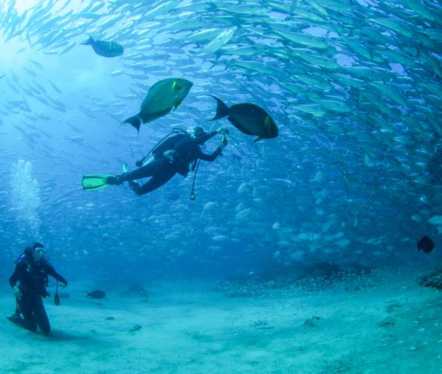 Diving - Cabo Pulmo
