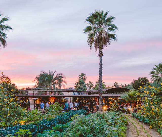 Flora Farms