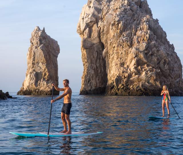 PaddleBoard
