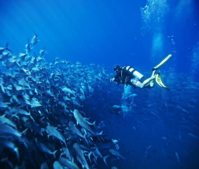 Earn A Scuba Diving Certification in Los Cabos