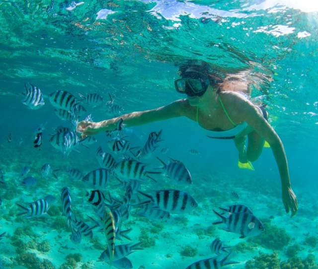 Snorkeling