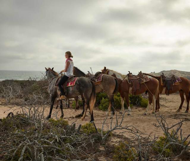 migriño carisuva ranch