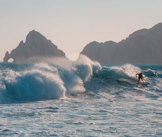 surfer arch