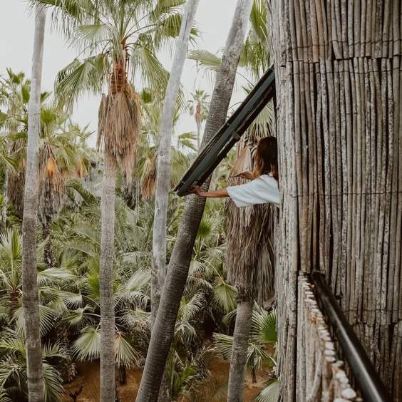 A Hidden Gem: Acre’s Seamless Blend of Boutique Luxury and Nature