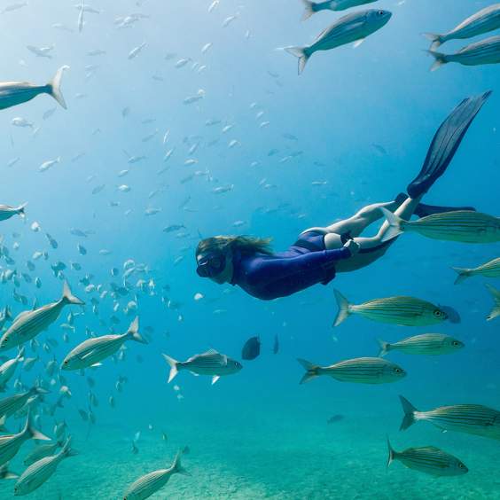 Snorkeling in Los Cabos