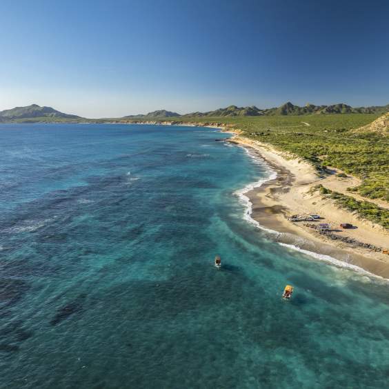 Earth Day is Every Day in Los Cabos: Sustainability Efforts & Eco All-Stars
