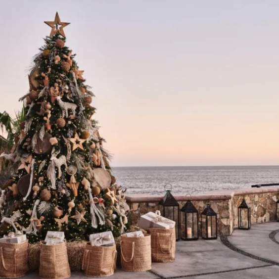 The 2025 Holiday Season in Los Cabos