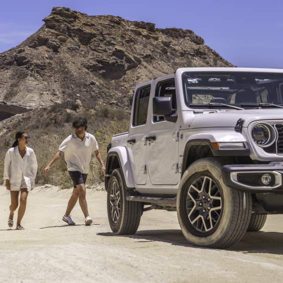 Your Los Cabos Questions, Answered