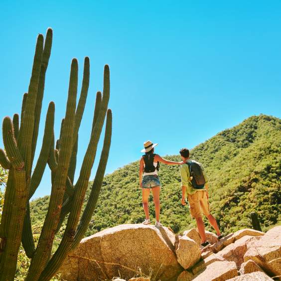 3 Desert Adventures to Celebrate Cactus Day in Los Cabos