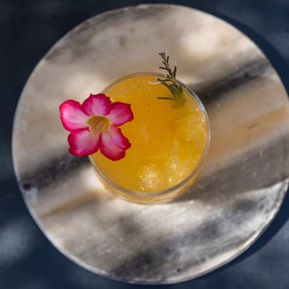 Refreshing Spring Cocktails in Los Cabos