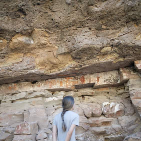 Petroglyphs and Shell Mounds: Explore Los Cabos' Fascinating Ancient History