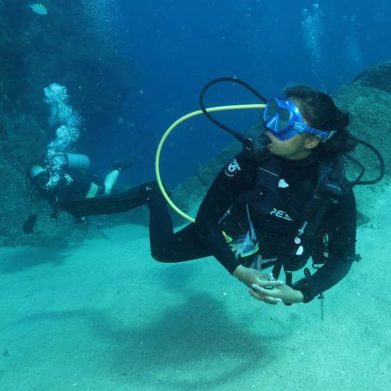 Celebrating Women Leaders in Los Cabos: Pioneers of Hospitality, Adventure, and Art