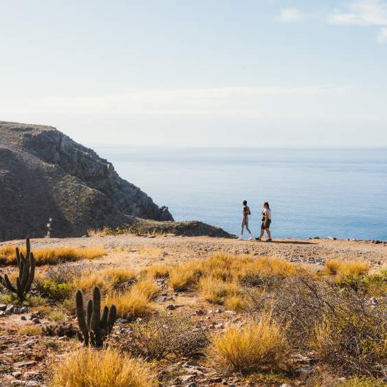 The Best Hiking Trails in Baja California Sur