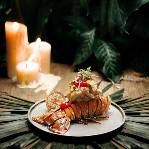 The Most Exciting Dining Destinations in Los Cabos