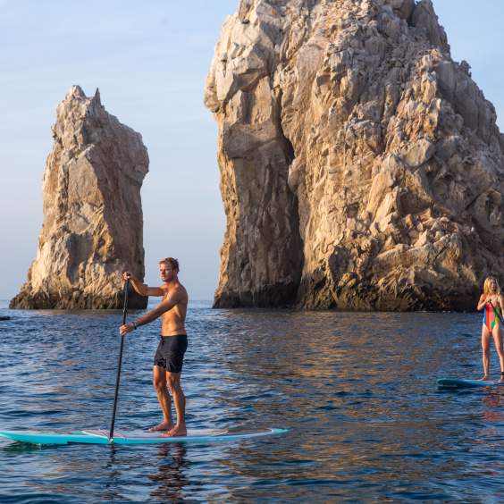 PaddleBoard