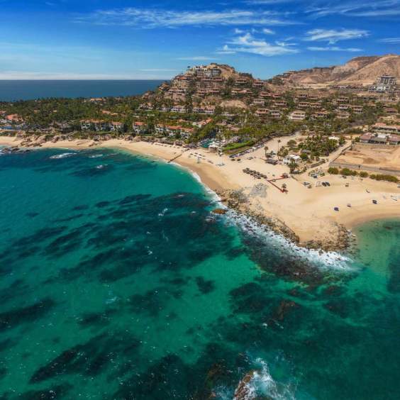 Nadando en la Belleza de Los Cabos