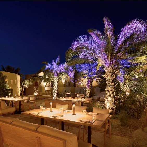 New Restaurants Opening in Los Cabos 2024