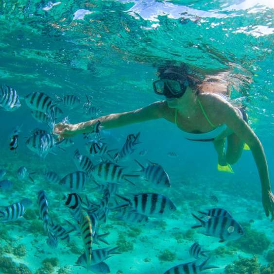 Snorkeling