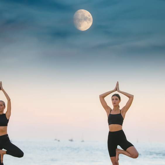Wellness Getaways in Los Cabos: Rejuvenate Before the Holiday Rush