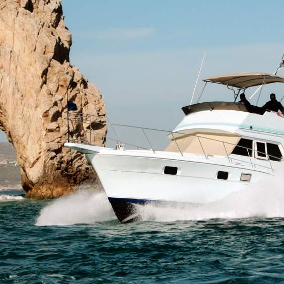 Bisbee's Black and Blue 2025: El torneo de pesca deportiva más importante