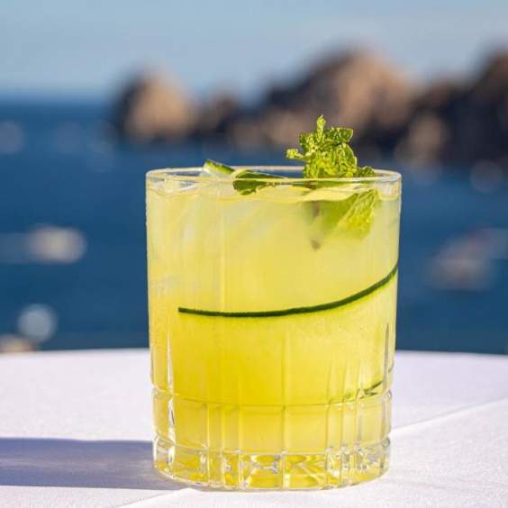 Sipping Sky-High: Los Cabos' Top Rooftop Bars for National Cocktail Day