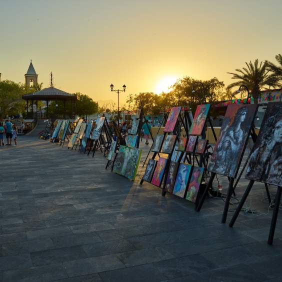 5 Essential Moments in Los Cabos
