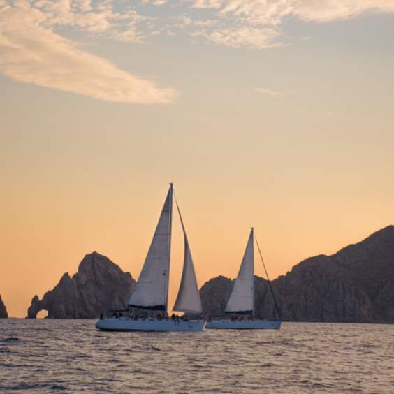 Can't-Miss Los Cabos Excursions To Try This Summer