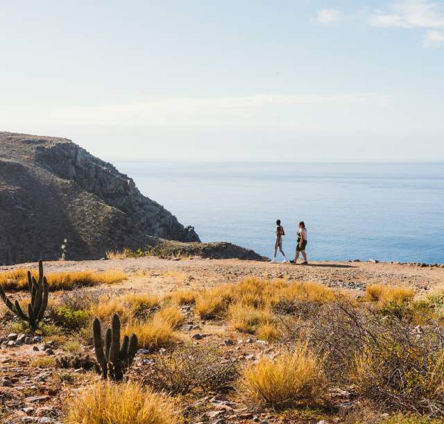 Los Cabos Awarded Best Destination in Mexico for Second Consecutive Year by Travel Weekly Readers