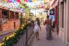 Los Cabos Paradise