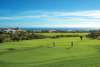 PALMILLA GOLF.jpg