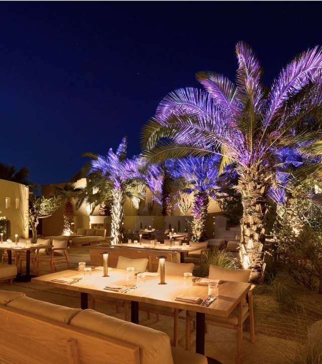 New Restaurants Opening in Los Cabos 2024
