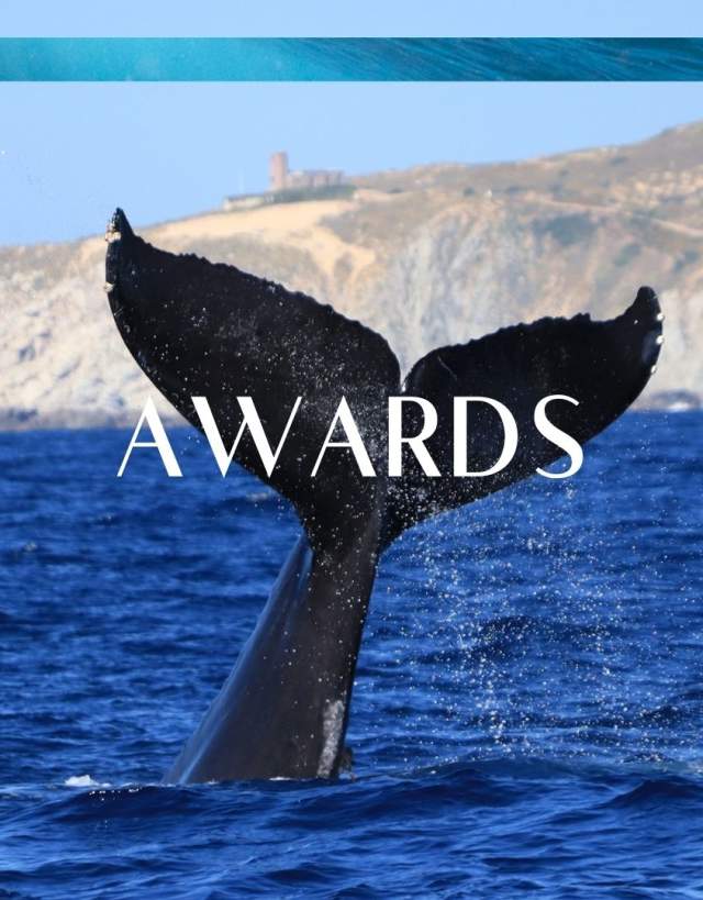 Awards Banner