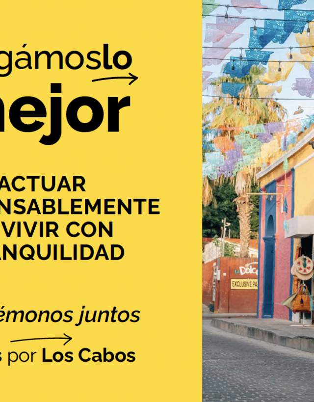 Seguridad y percepcion