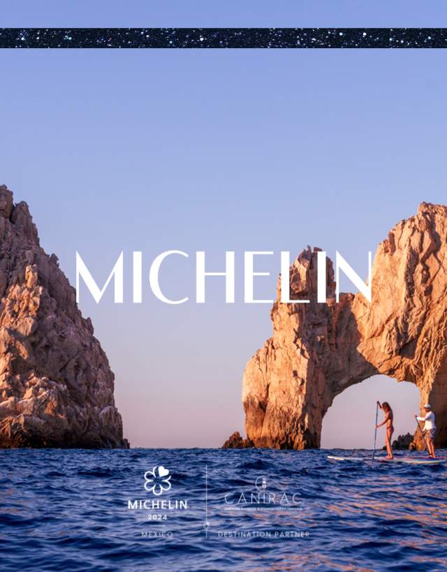 Michelin Banner New