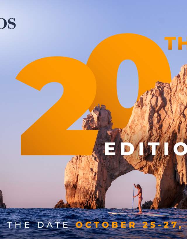 LCVS26