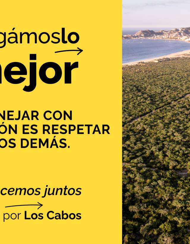 TPLC - MOVILIDAD