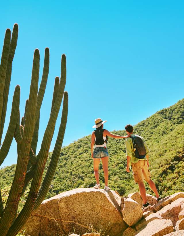 Three Desert Adventures for Cactus Day