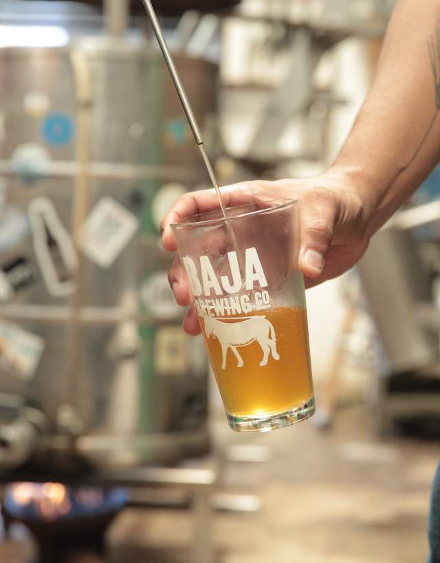 Baja Brewing Pint