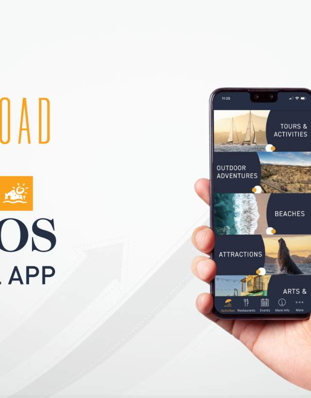 The Official Los Cabos App