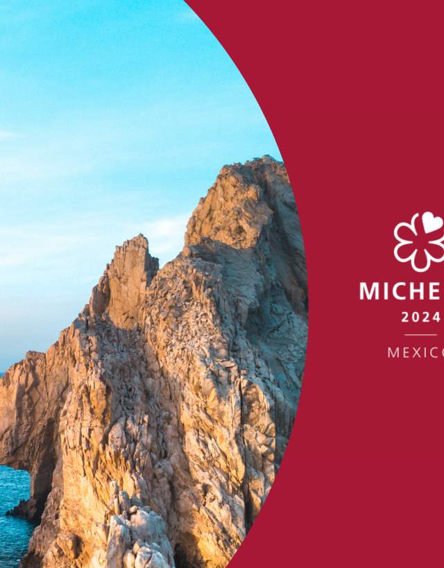 Michelin Guide