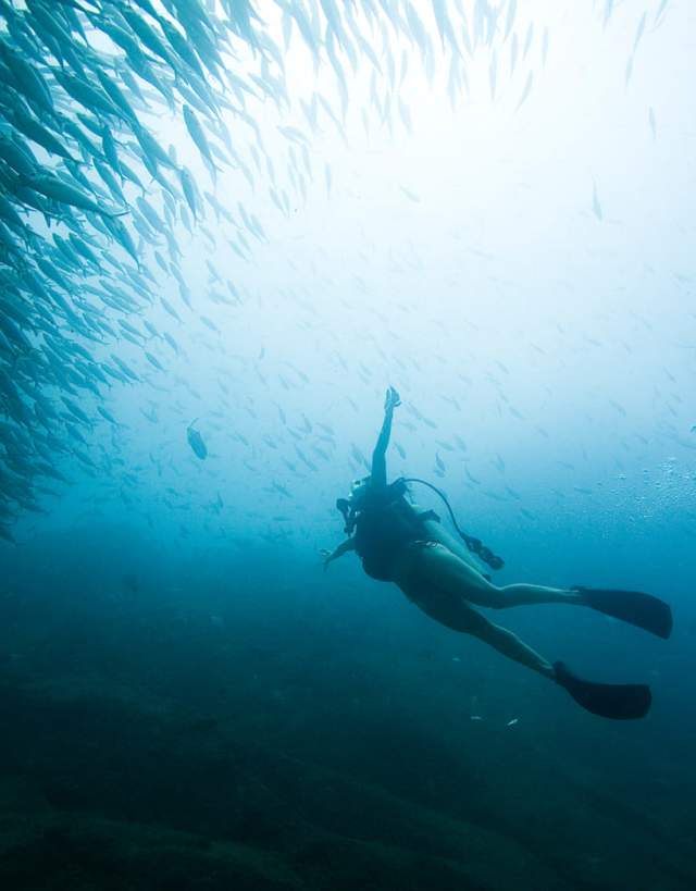 Persona bajo el mar buceando rodeado de peces