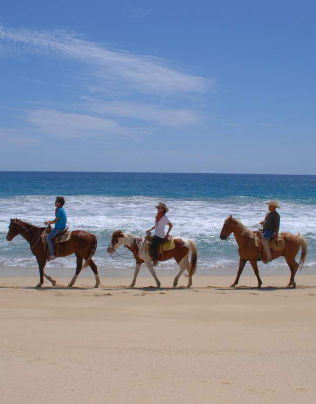 Caballos