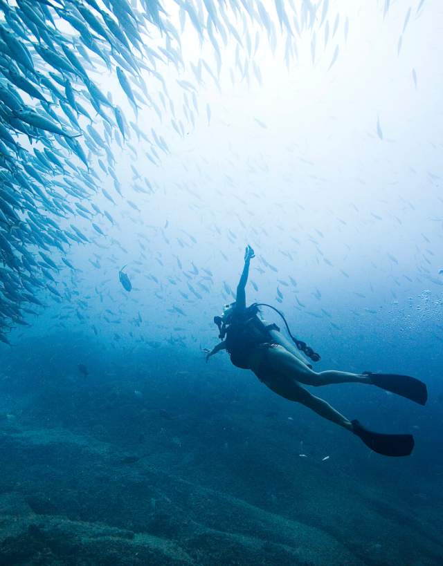 Cabo Pulmo Diving