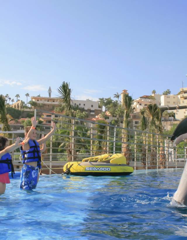DOLPHIN KIDS_15