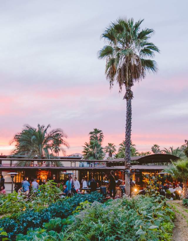 Flora Farms