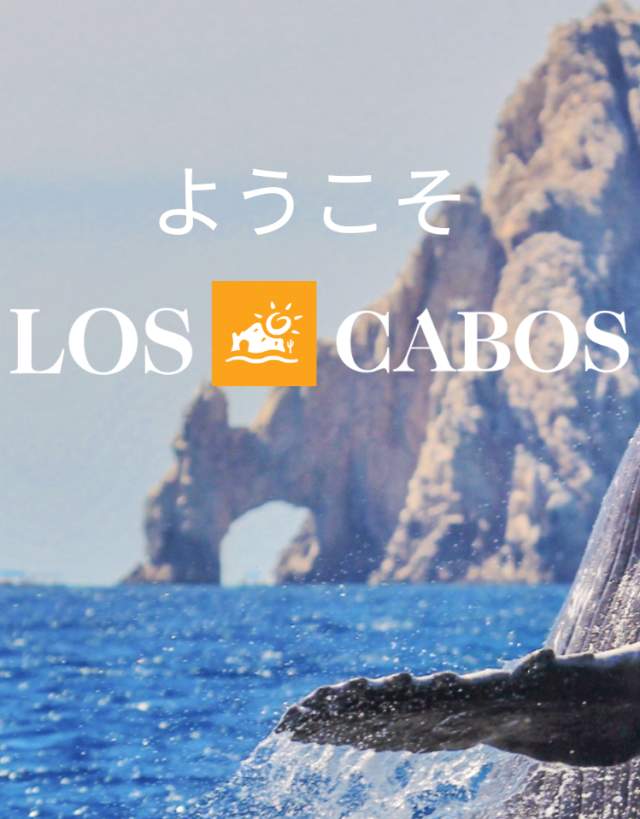 Medida Banner Japón