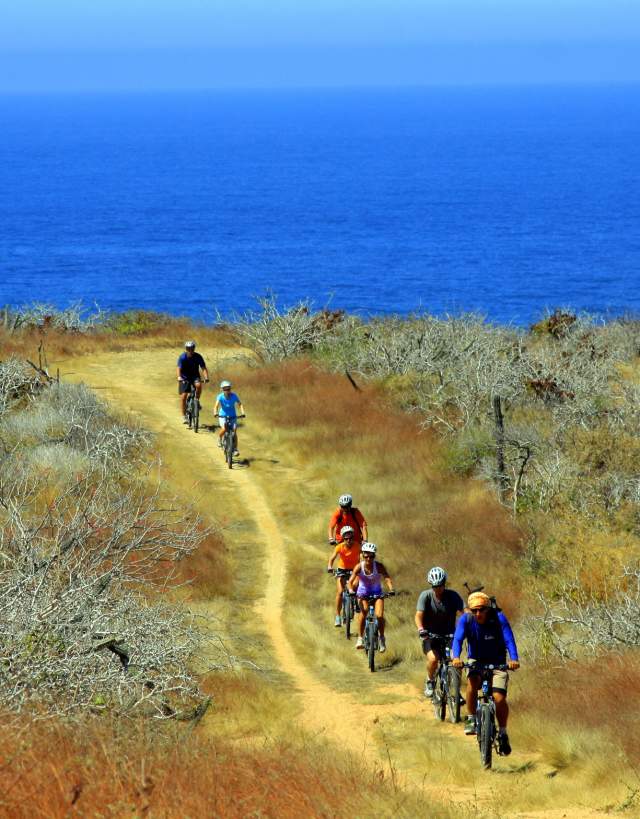 Mountain Bikers