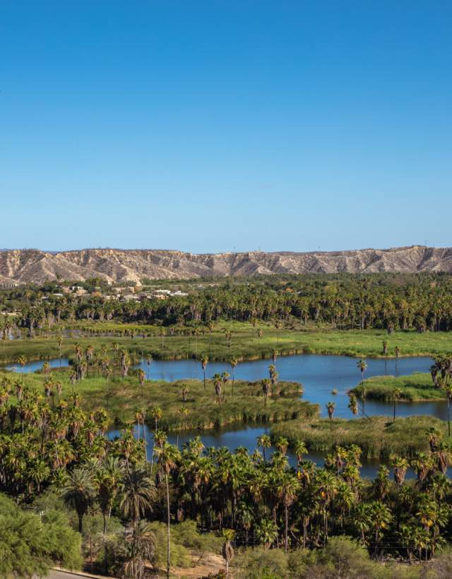 Oasis de Santiago - Los Cabos